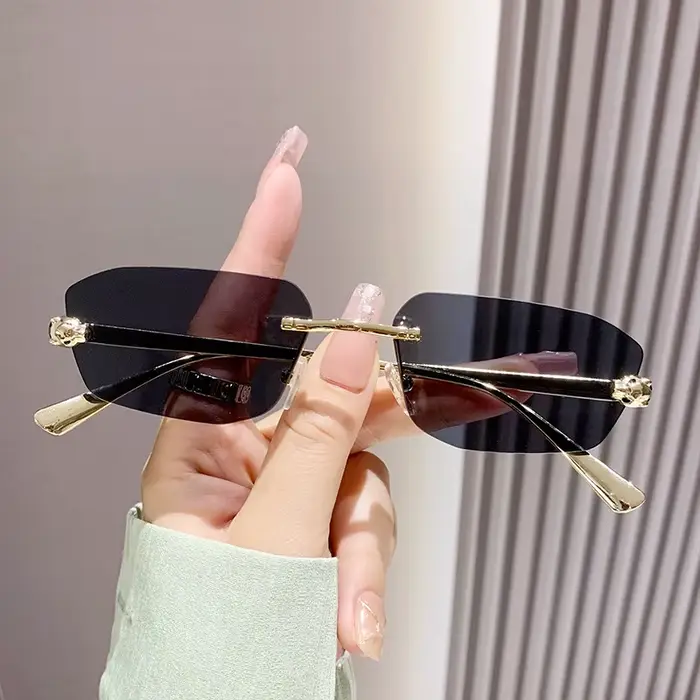 Lunettes de soleil sans monture tête de léopard pour femmes et hommes 2026 – Design vintage punk de 