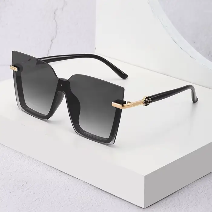 Lunettes de soleil carrées évidées pour hommes et femmes, lunettes à grande monture, lunettes une pi