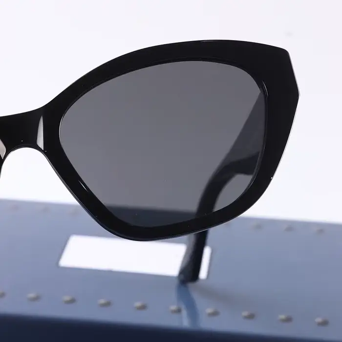Lunettes de soleil 2026 à monture en acétate pour femmes